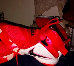 Lebron james jordans for ladys